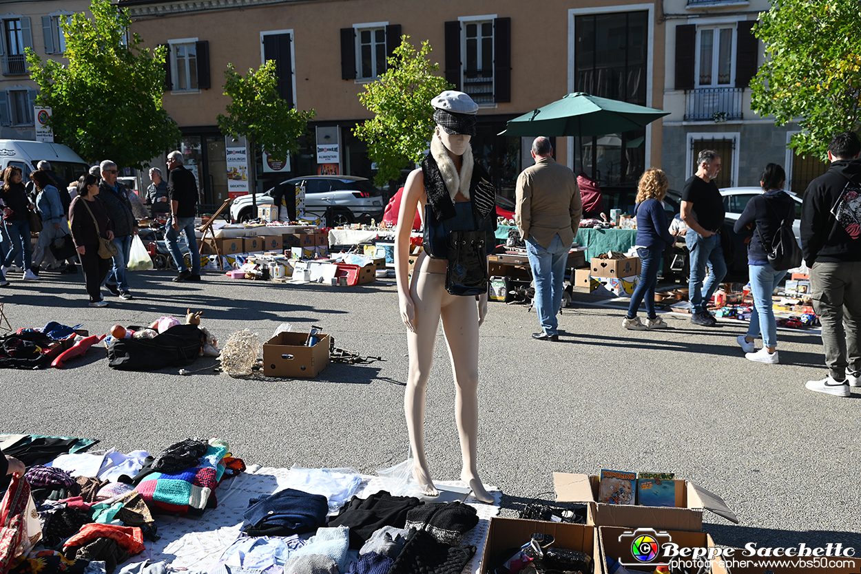 VBS_0147 - Mercatino dell'Antiquariato e dell'Hobbismo - Settembre 2024.jpg